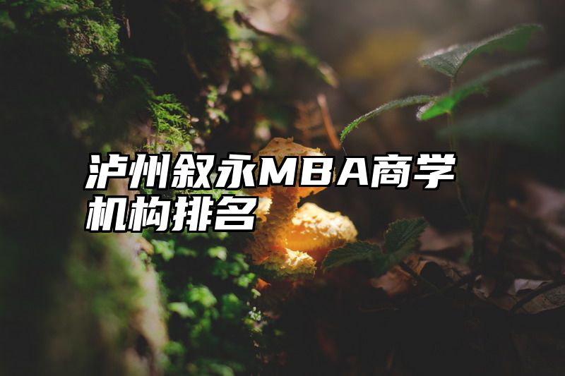 泸州叙永MBA商学机构排名