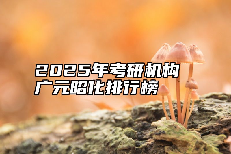 2025年考研机构广元昭化排行榜
