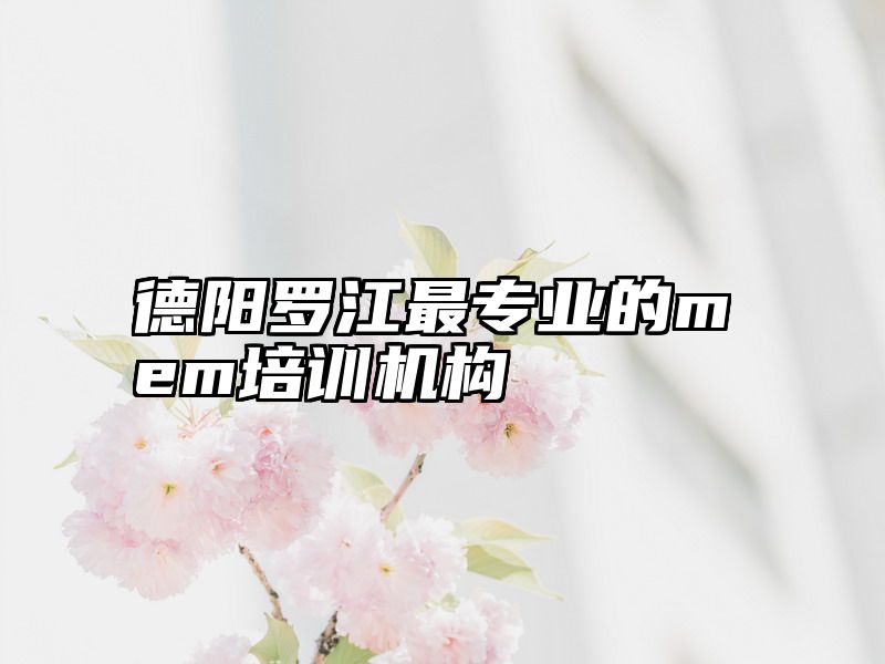 德阳罗江最专业的mem培训机构