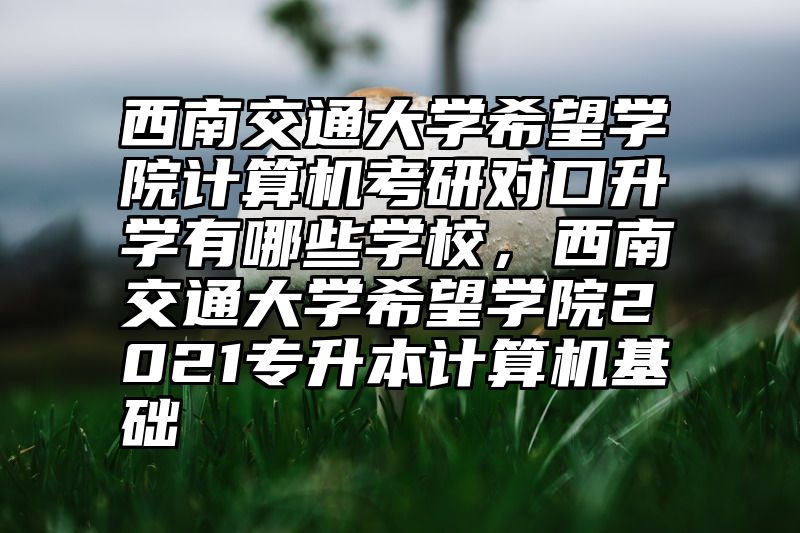 西南交通大学希望学院计算机考研对口升学有哪些学校,西南交通大学希望学院2021专升本计算机基础