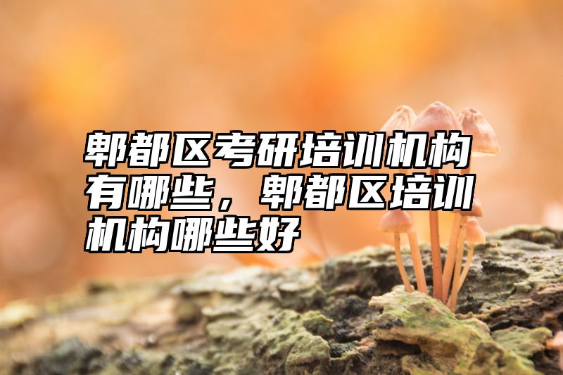 郫都区考研培训机构有哪些,郫都区培训机构哪些好