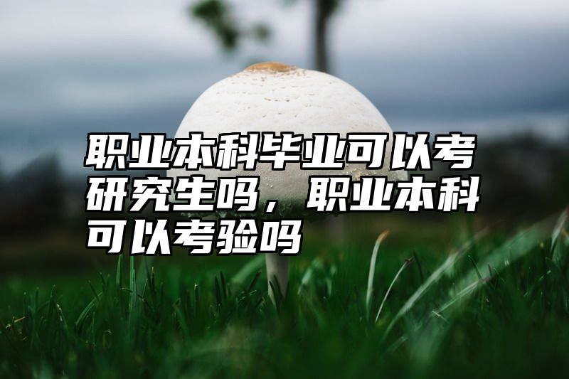 职业本科毕业可以考研究生吗，职业本科可以考验吗