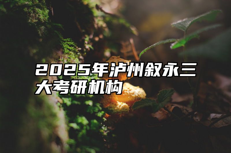 2025年泸州叙永三大考研机构