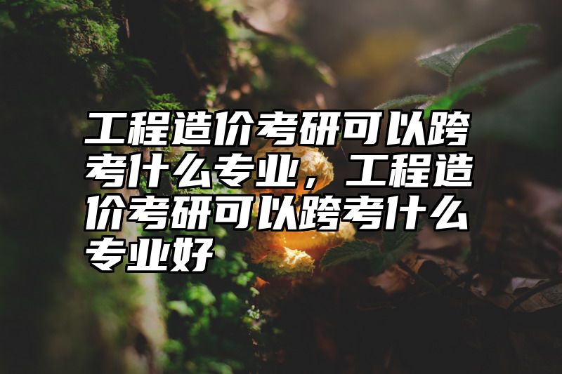 点击查看《工程造价考研可以跨考什么专业，工程造价考研可以跨考什么专业好》全文