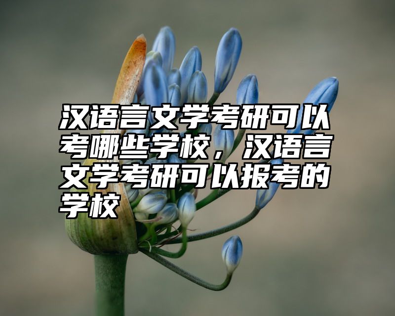 汉语言文学考研可以考哪些学校，汉语言文学考研可以报考的学校