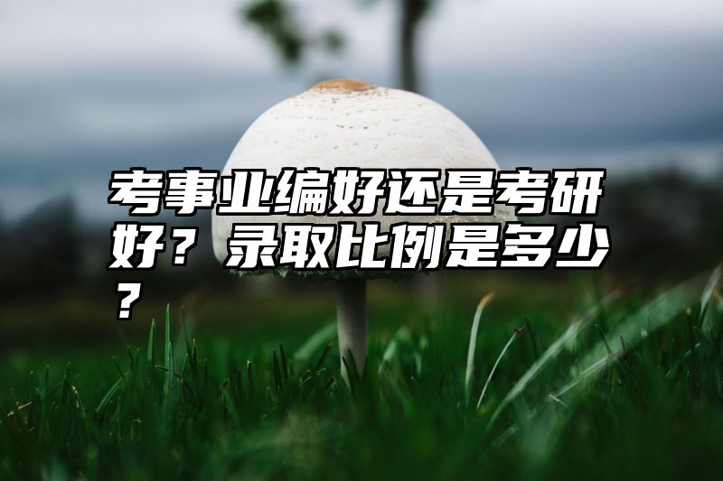 考事业编好还是考研好?录取比例是多少?