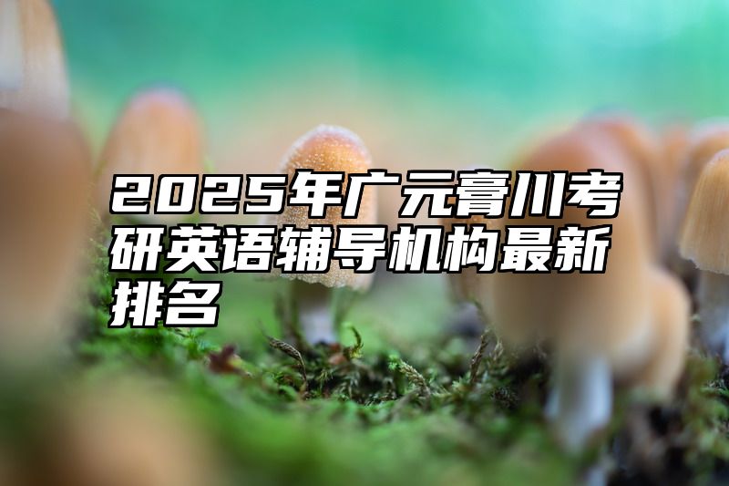 2025年广元膏川考研英语辅导机构最新排名