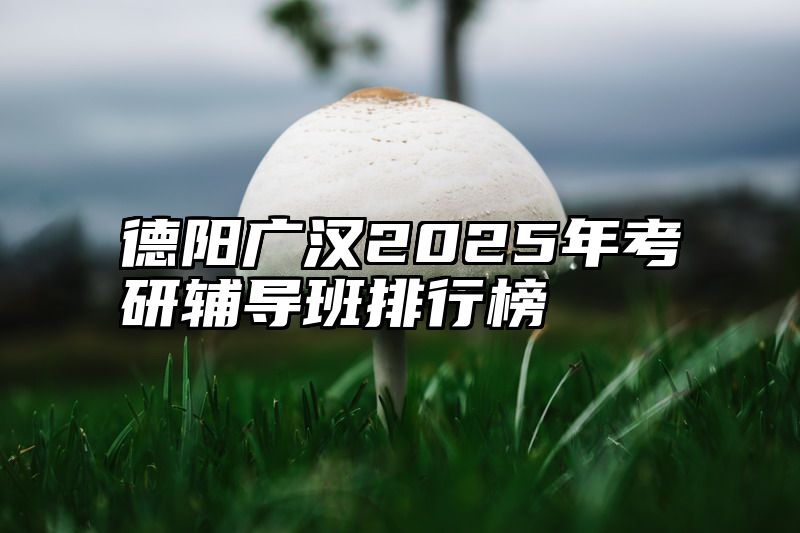 德阳广汉2025年考研辅导班排行榜