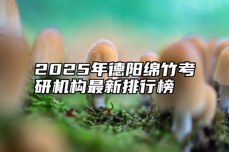 2025年德阳绵竹考研机构最新排行榜