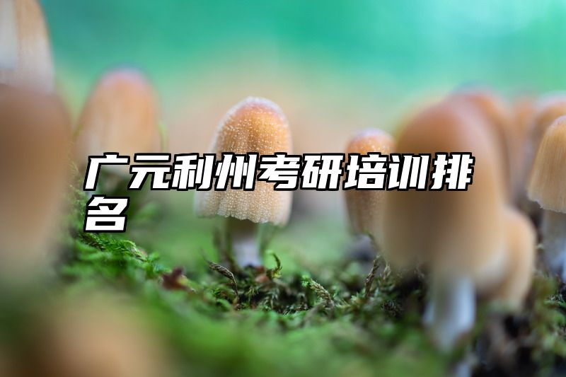 广元利州考研培训排名