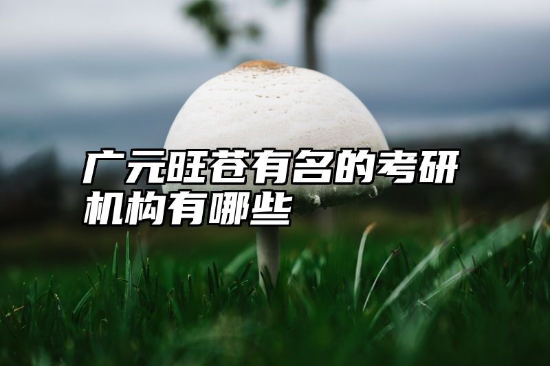 广元旺苍有名的考研机构有哪些