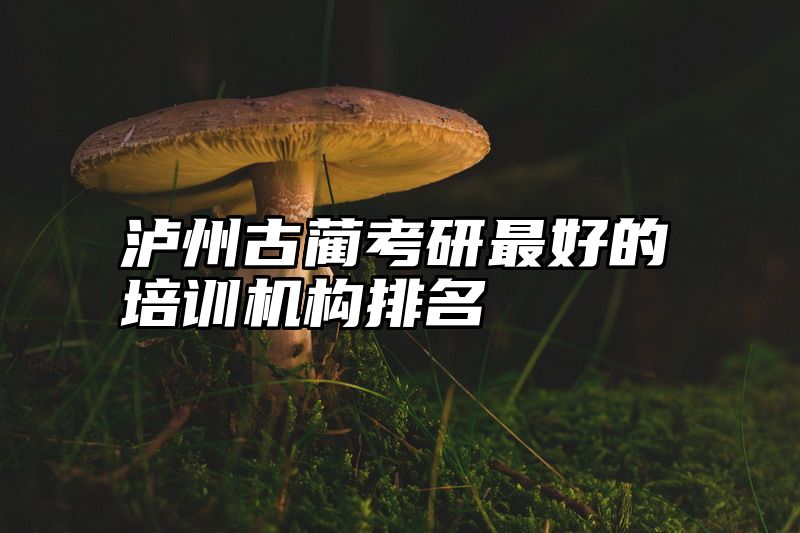 泸州古蔺考研最好的培训机构排名
