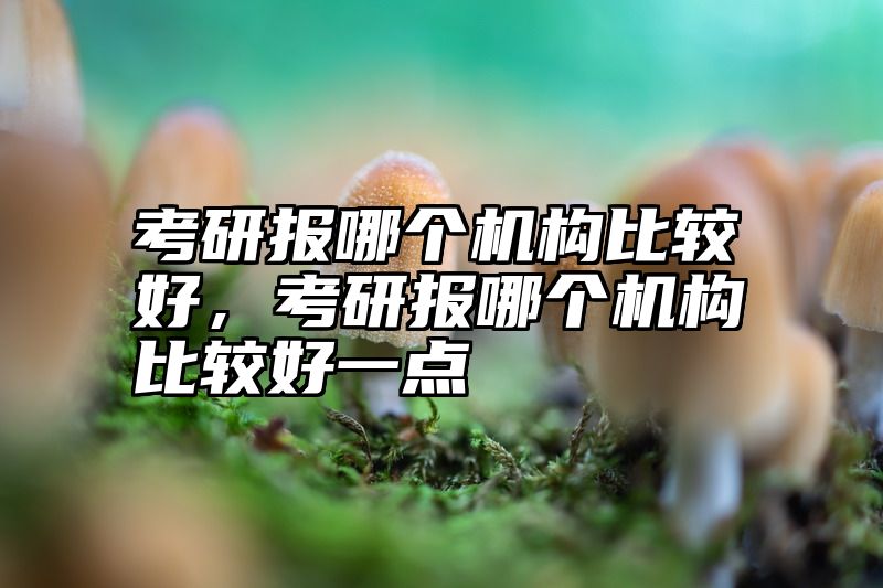考研报哪个机构比较好，考研报哪个机构比较好一点