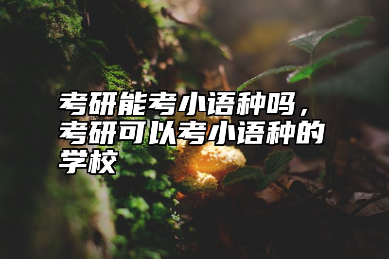 考研能考小语种吗，考研可以考小语种的学校