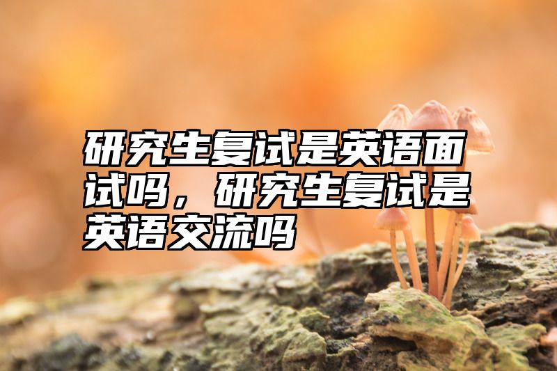 研究生复试是英语面试吗,研究生复试是英语交流吗
