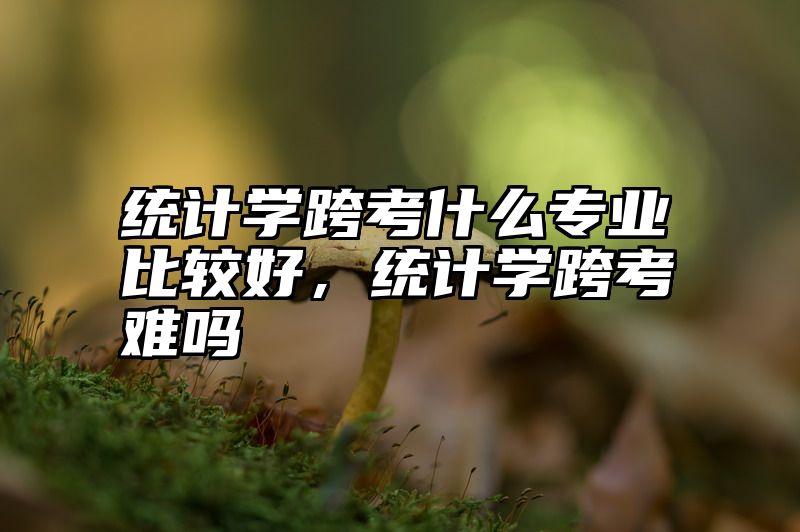统计学跨考什么专业比较好，统计学跨考难吗
