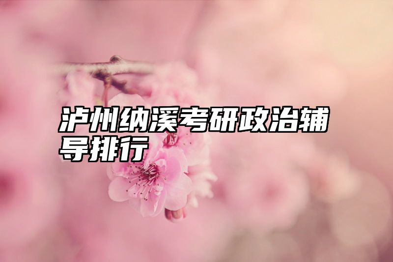 泸州纳溪考研政治辅导排行