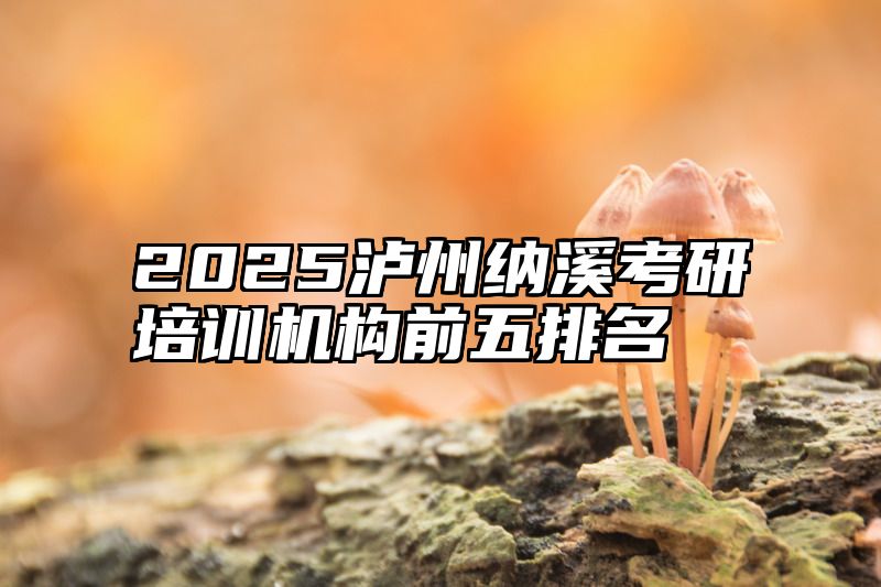 2025泸州纳溪考研培训机构前五排名