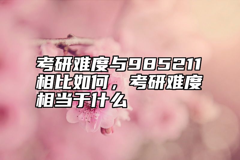 考研难度与985211相比如何，考研难度相当于什么