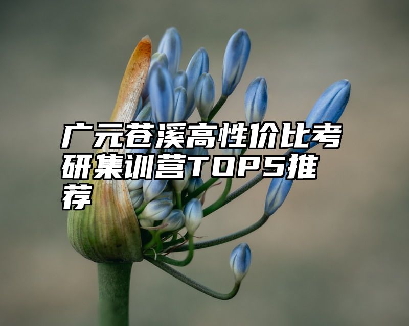 点击查看《广元苍溪高性价比考研集训营TOP5推荐》全文
