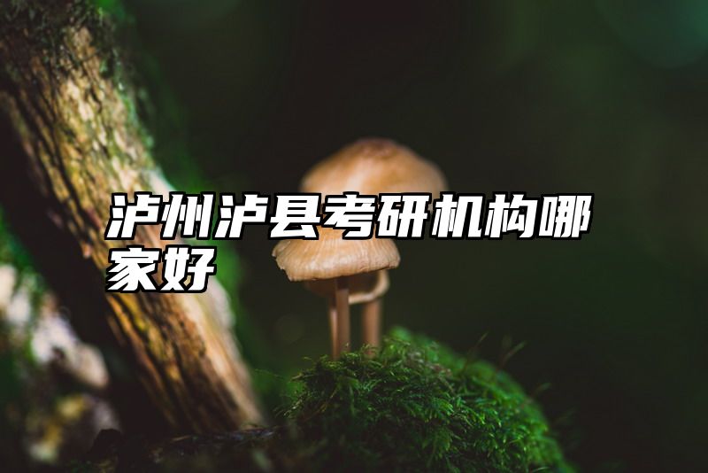 泸州泸县考研机构哪家好