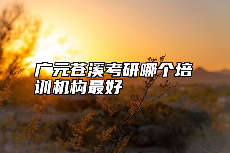 广元苍溪考研哪个培训机构最好