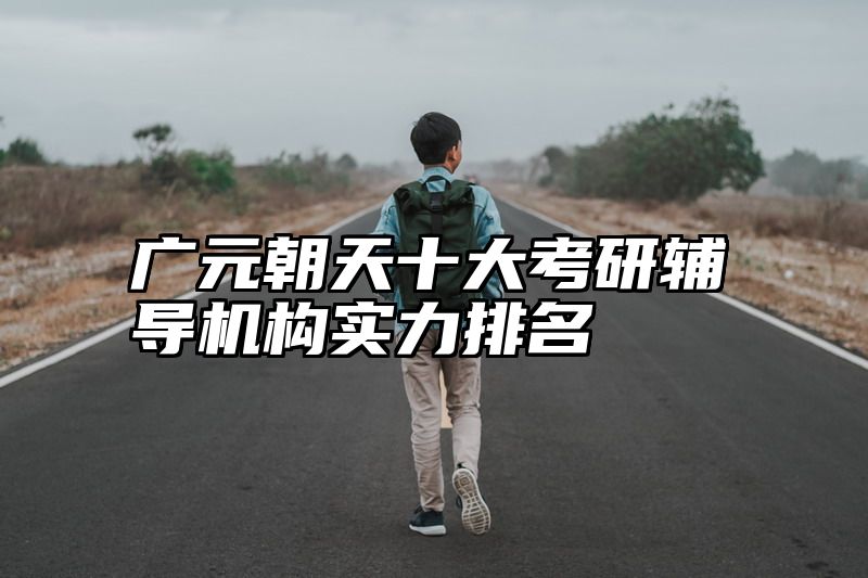 广元朝天十大考研辅导机构实力排名