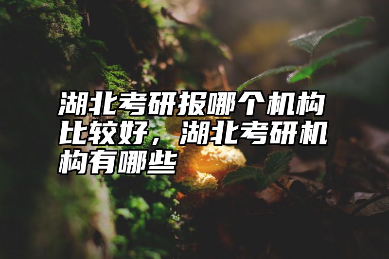 湖北考研报哪个机构比较好,湖北考研机构有哪些
