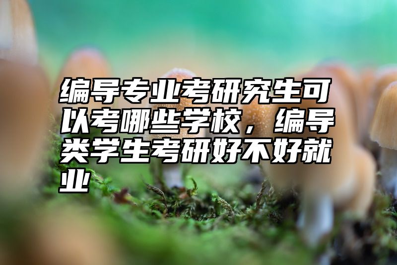 编导专业考研究生可以考哪些学校，编导类学生考研好不好就业