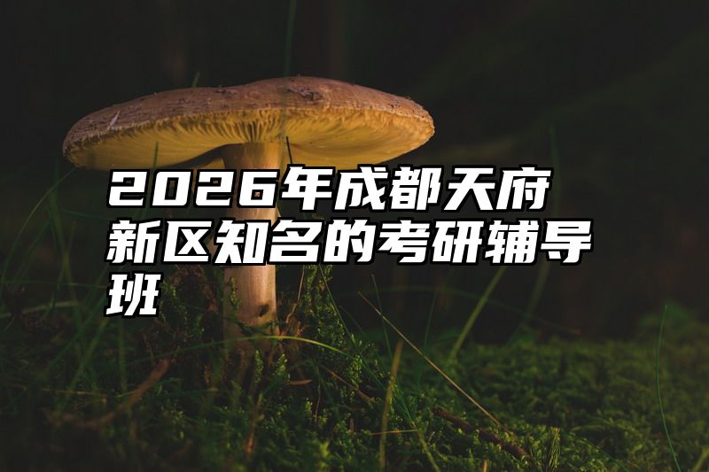 2026年成都天府新区知名的考研辅导班