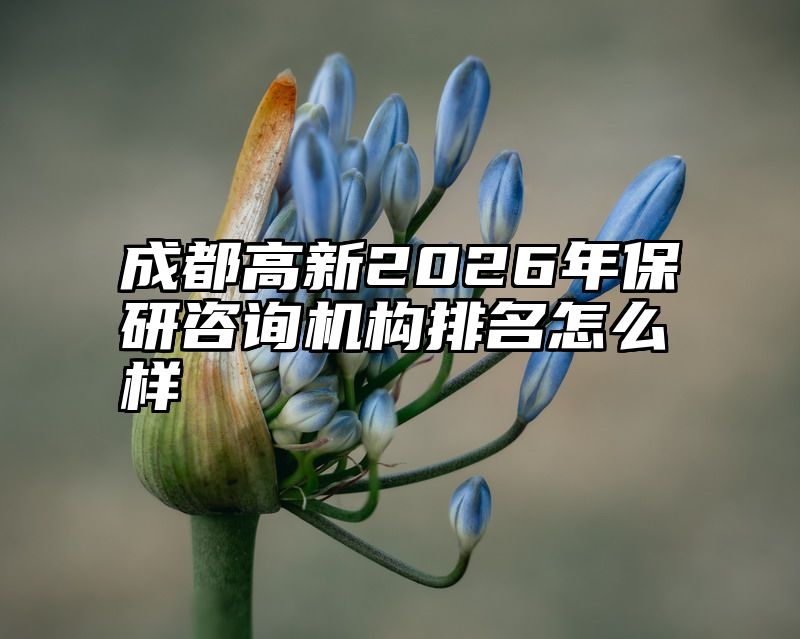 成都高新2026年保研咨询机构排名怎么样