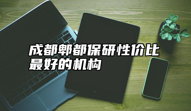 成都郫都保研性价比最好的机构