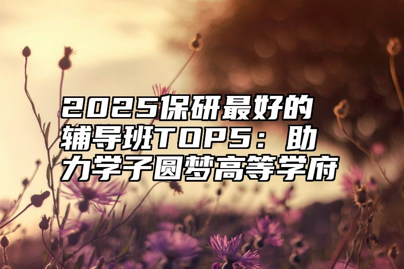 2025保研最好的辅导班TOP5:助力学子圆梦高等学府