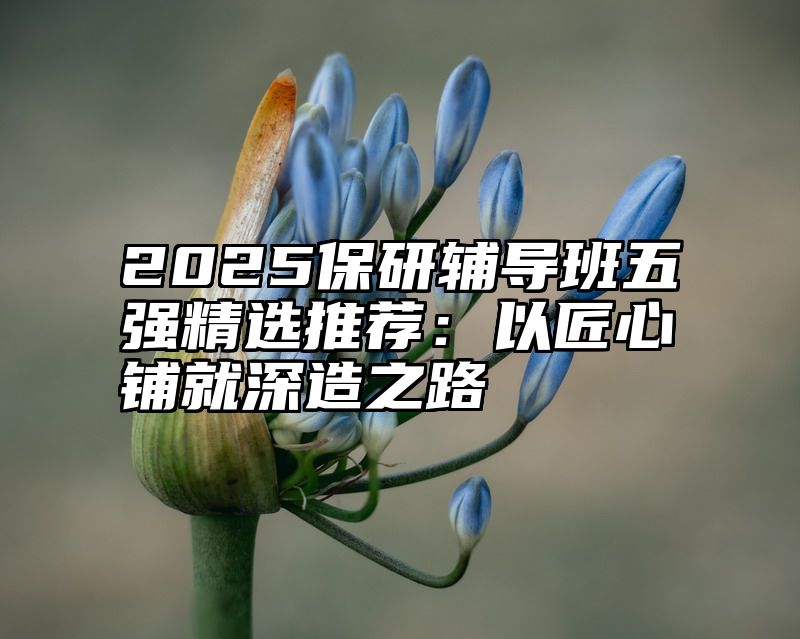 2025保研辅导班五强精选推荐:以匠心铺就深造之路