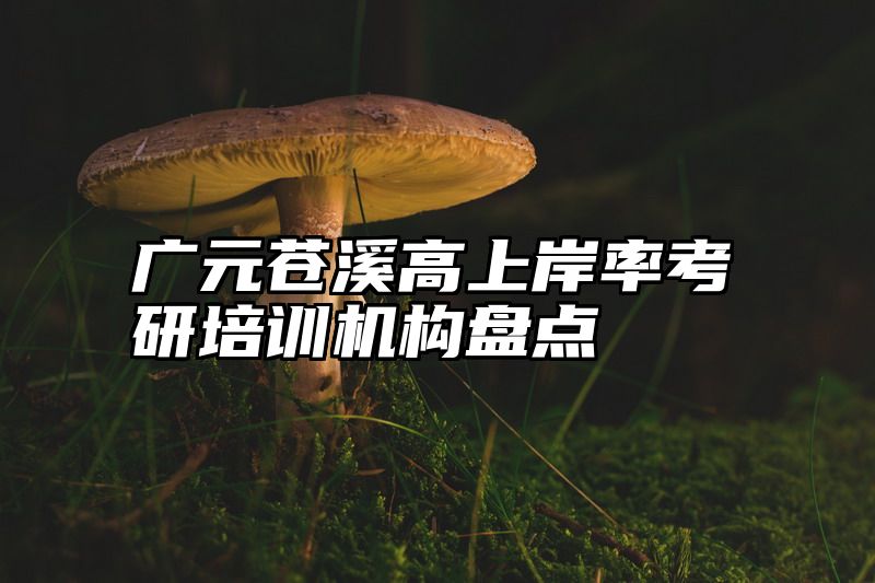 广元苍溪高上岸率考研培训机构盘点
