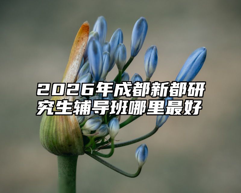 2026年成都新都研究生辅导班哪里最好