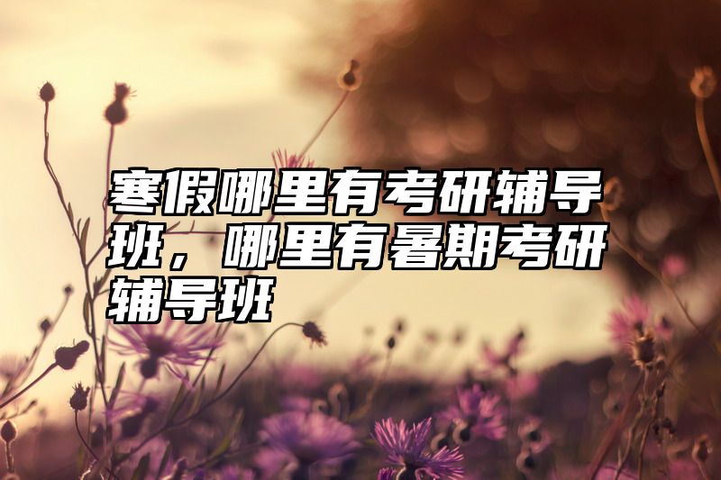 点击查看《寒假哪里有考研辅导班，哪里有暑期考研辅导班》全文