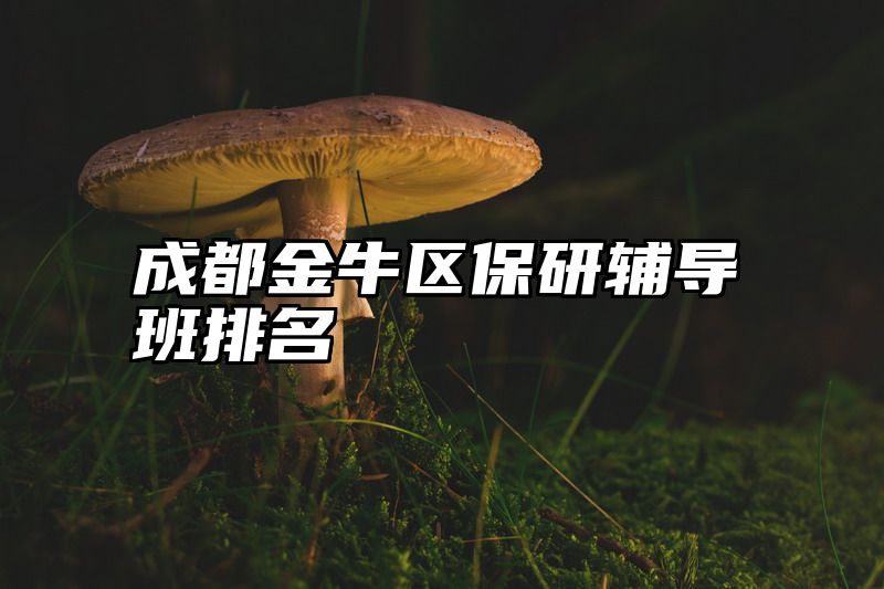 成都金牛区保研辅导班排名