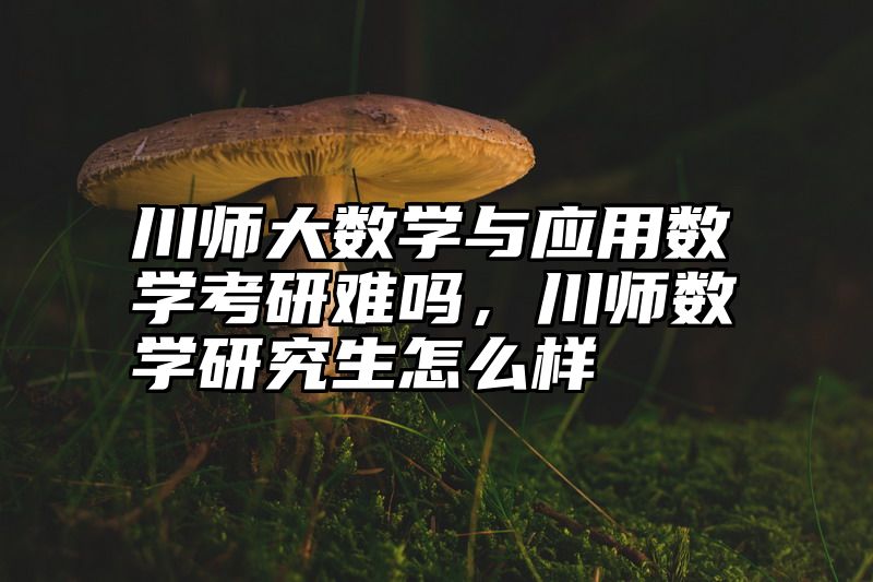 川师大数学与应用数学考研难吗,川师数学研究生怎么样