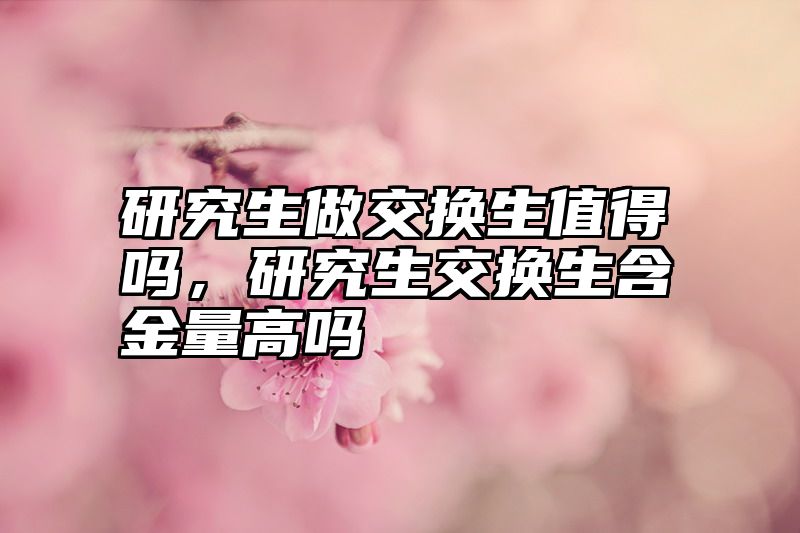 研究生做交换生值得吗,研究生交换生含金量高吗