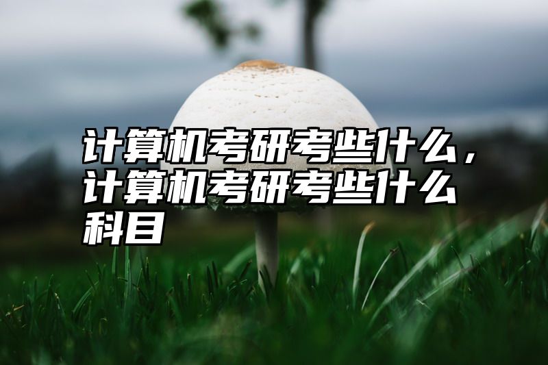 点击查看《计算机考研考些什么，计算机考研考些什么科目》全文