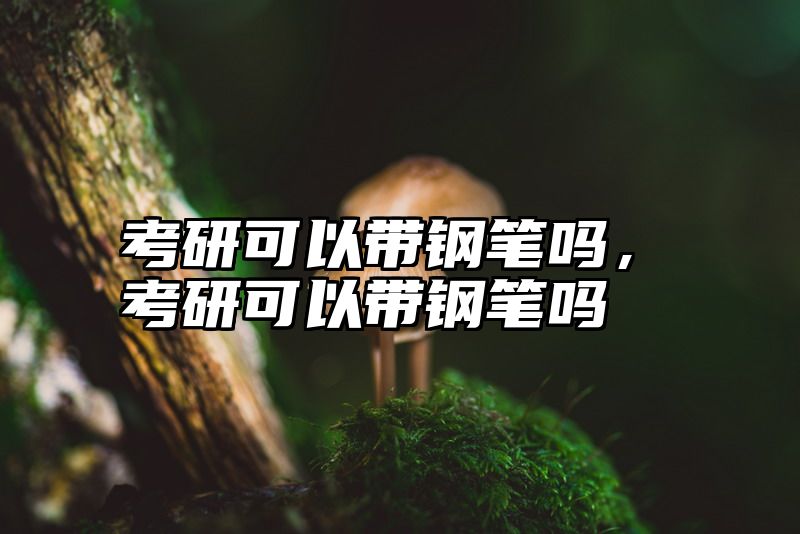 考研可以带钢笔吗,考研可以带钢笔吗