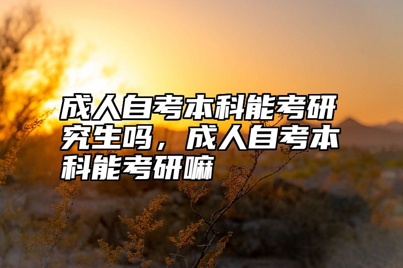 成人自考本科能考研究生吗,成人自考本科能考研嘛