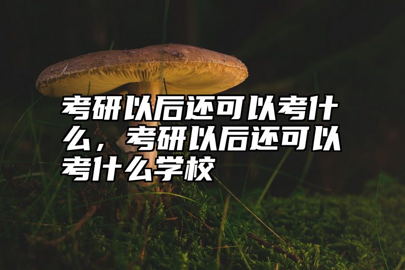 考研以后还可以考什么，考研以后还可以考什么学校