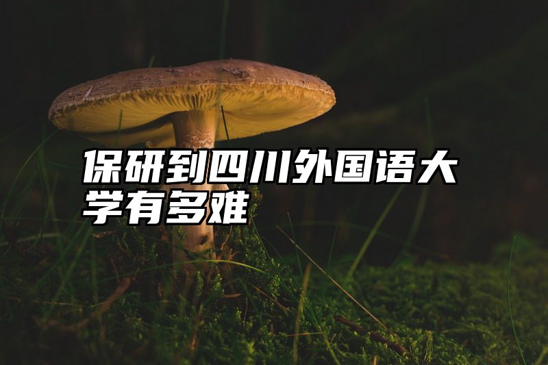 点击查看《保研到四川外国语大学有多难》全文