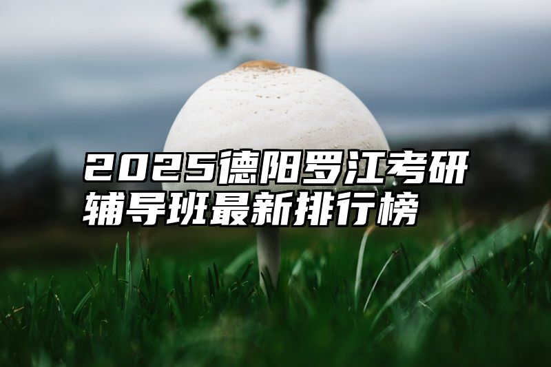 点击查看《2025德阳罗江考研辅导班最新排行榜》全文