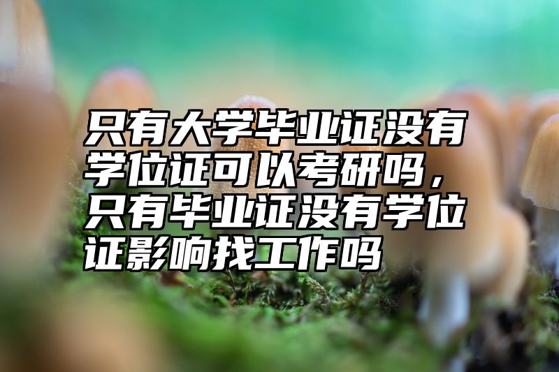 只有大学毕业证没有学位证可以考研吗,只有毕业证没有学位证影响找工作吗