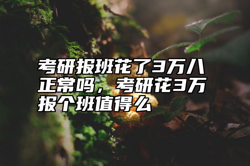 考研报班花了3万八正常吗,考研花3万报个班值得么