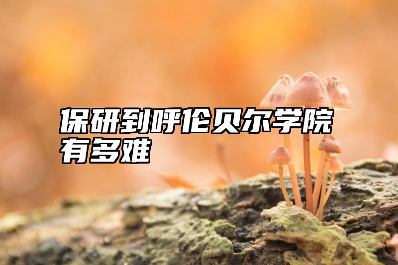 保研到呼伦贝尔学院有多难