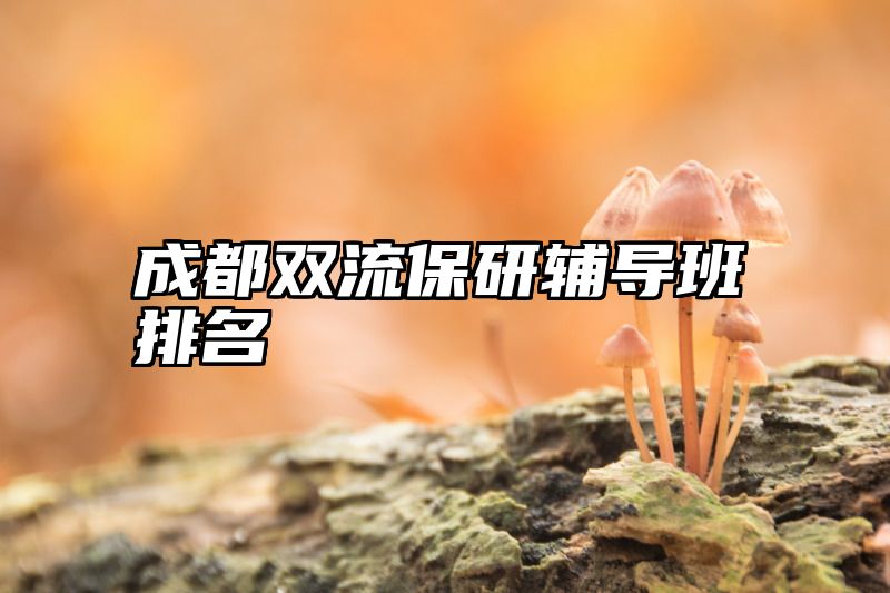 成都双流保研辅导班排名